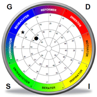 Persönliche Motivatoren INSIGHTS MDI® Leadership-Check